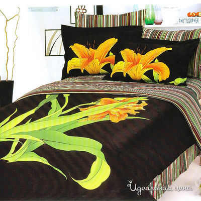 Комплект Letto&Levele, цвет цвет черный