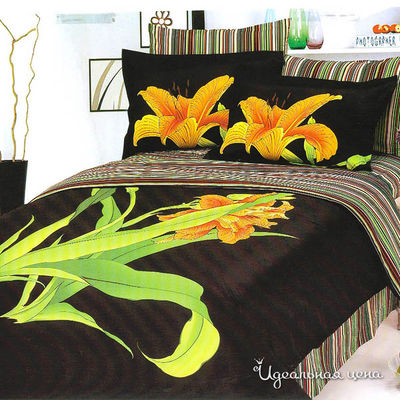 Комплект Letto&Levele, цвет цвет черный / белый