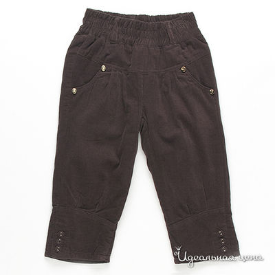 Брюки Dodipetto, цвет цвет темно-коричневый