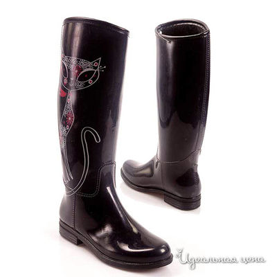 Сапоги DAV, цвет цвет черный