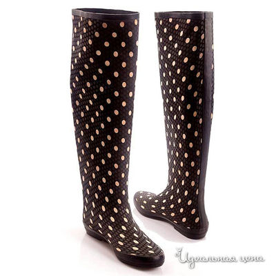 Сапоги DAV, цвет цвет черный