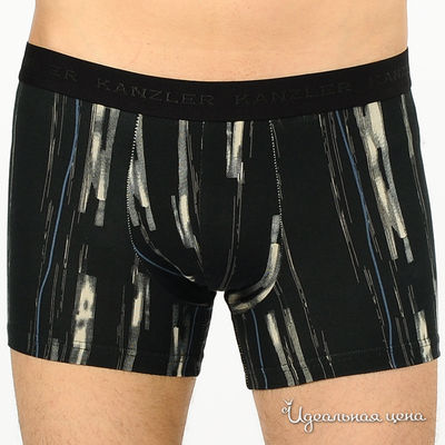 Трусы Kanzler, цвет цвет черный