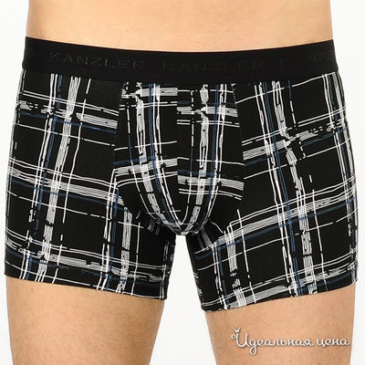 Трусы Kanzler, цвет цвет черный