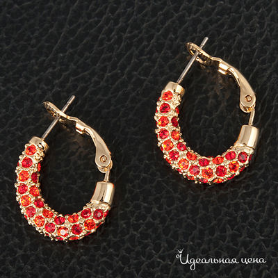 Гвоздики Crocus