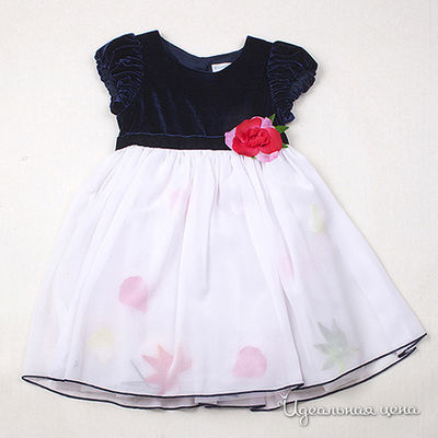 Платье Comusl, цвет цвет синий / белый