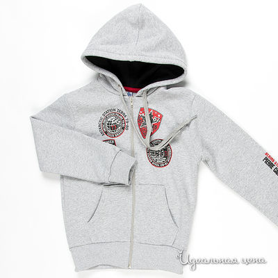 Толстовка Pierre Cardin, цвет цвет серый