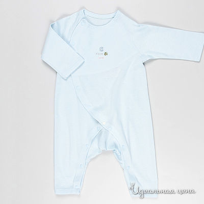 Боди Japanese brends, цвет цвет голубой