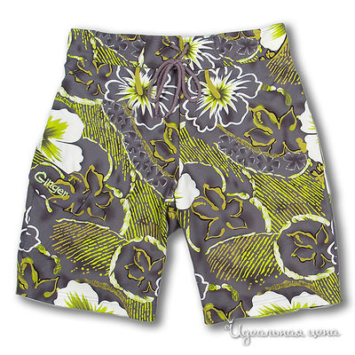 Шорты Ginger, цвет цвет темно-серый / салатовый