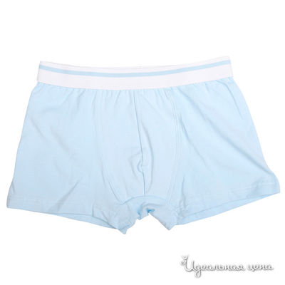 Трусы Gulliver, цвет цвет голубой