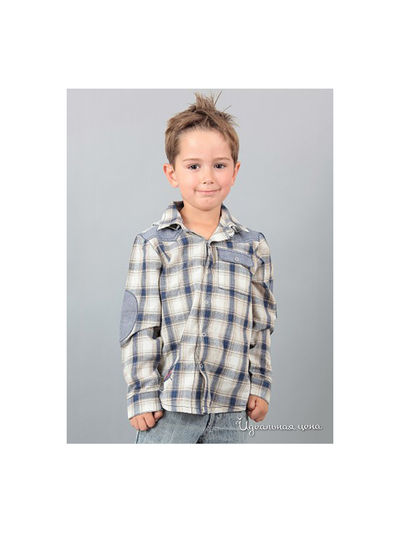 Рубашка Adams, цвет цвет синий / принт клетка