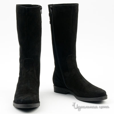 Сапоги Gianmarco Benatti, цвет цвет черный