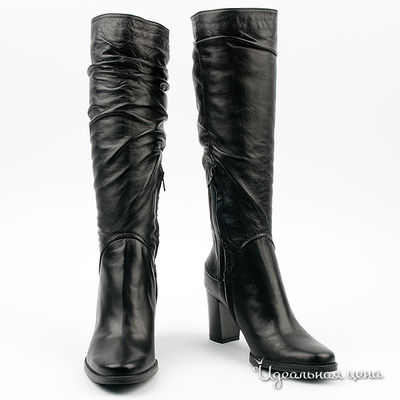 Сапоги Gianmarco Benatti, цвет цвет черный