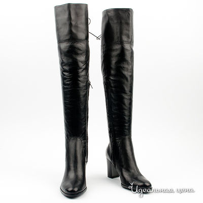 Сапоги Gianmarco Benatti, цвет цвет черный