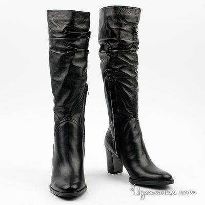 Сапоги Gianmarco Benatti, цвет цвет черный