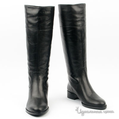 Сапоги Gianmarco Benatti, цвет цвет черный