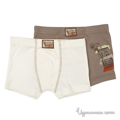 Трусы Absorba, цвет цвет светло-коричневый