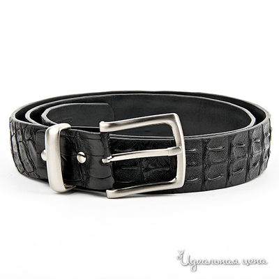 Ремень BLQ, цвет цвет черный