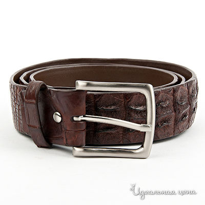 Ремень BLQ, цвет цвет коричневый