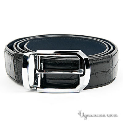 Ремень BLQ, цвет цвет черный