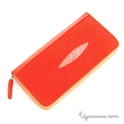 Портмоне BLQ, цвет цвет оранжевый