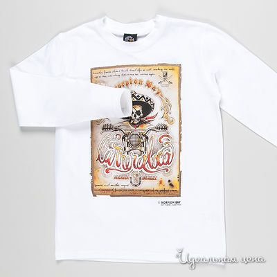 Лонгслив Scorpion bay, цвет цвет белый