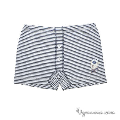 Трусы-шорты Gemelli Giocoso, цвет цвет серый