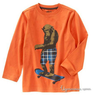 Лонгслив Crazy8, цвет цвет оранжевый