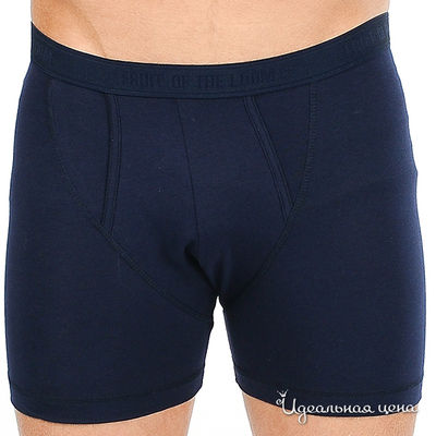 Комплект Fruit of the Loom, цвет цвет темно-синий