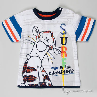 Футболка Bimbus, цвет цвет синий / серый