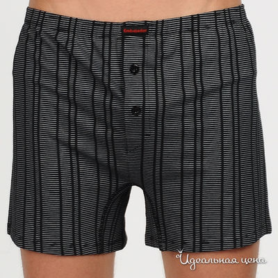 Трусы Atlantic, цвет цвет черный