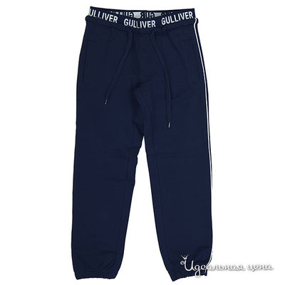 Брюки Gulliver, цвет цвет синий