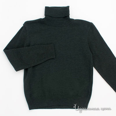 Водолазка Flash Kids, цвет цвет темно-серый