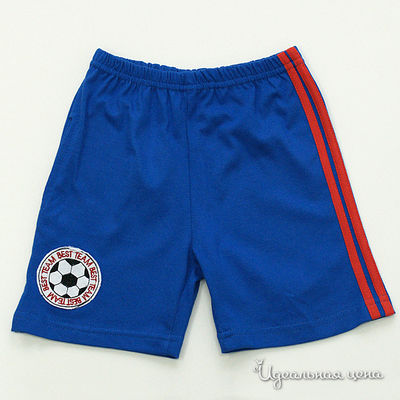 Шорты Апрель, цвет цвет васильковый