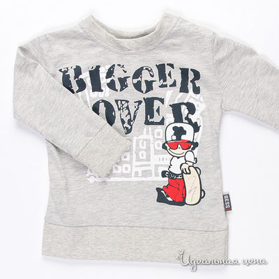 Лонгслив Gess, цвет цвет светло-серый