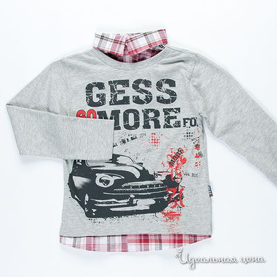 Лонгслив Gess, цвет цвет серый