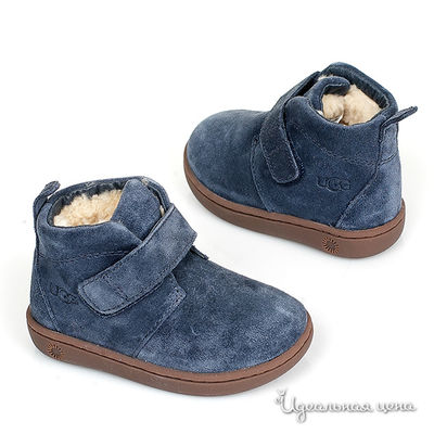 Ботинки UGG, цвет цвет синий