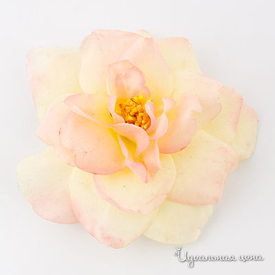 Брошь Lastoria, цвет цвет желто-розовый