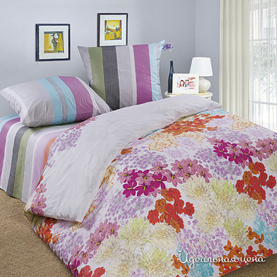 Комплект Domus