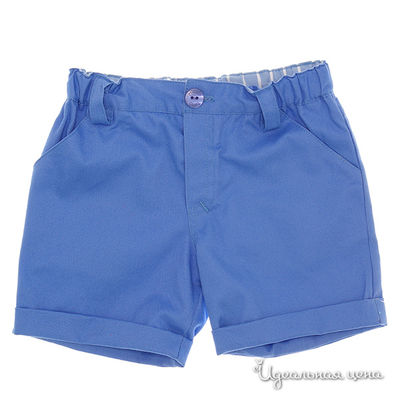 Шорты Tutto piccolo, цвет цвет синий
