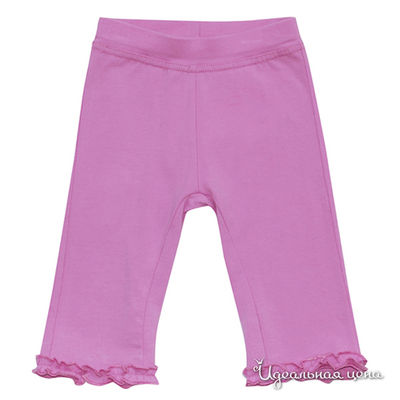 Леггинсы Clayeux, цвет цвет сиреневый