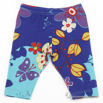 Леггинсы Clayeux, цвет цвет мультиколор