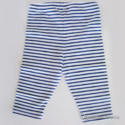 Леггинсы Clayeux ADT, цвет цвет синий / белый