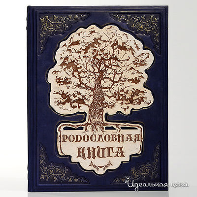 Книга Кажан, цвет цвет синий