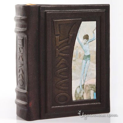  Кажан, цвет цвет темно-коричневый