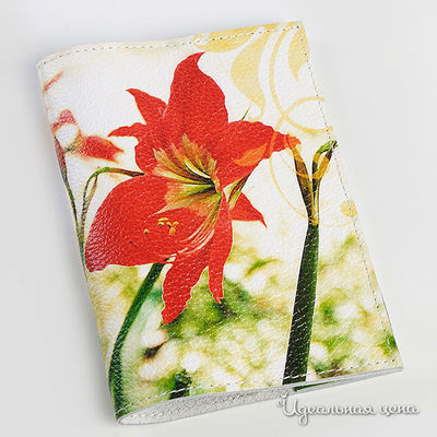 Обложка Кажан, цвет цвет мультиколор