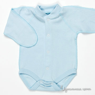 Боди Папитто, цвет цвет голубой