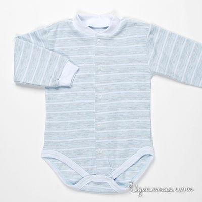 Боди Папитто, цвет цвет голубой