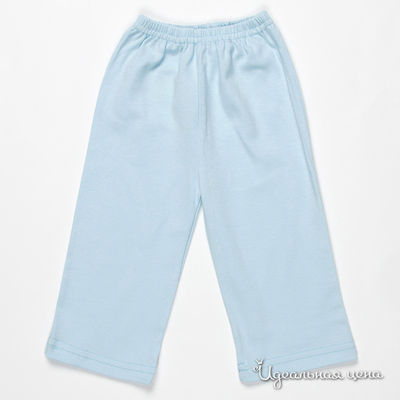 Брюки Папитто, цвет цвет голубой