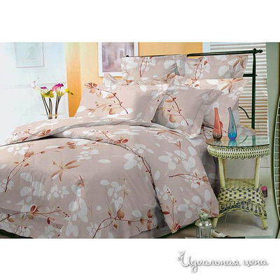 Комплект SHIK