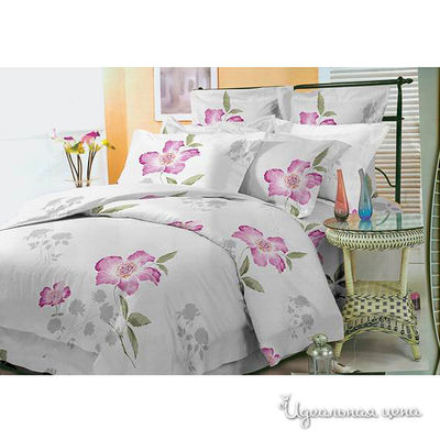 Комплект SHIK